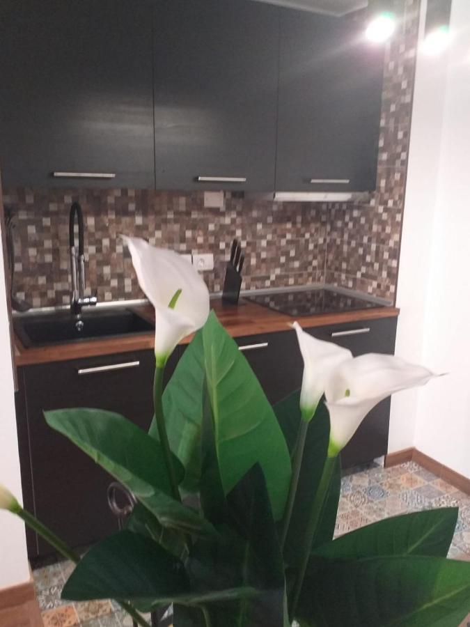 Loft 113 Apartment Corralejo Bagian luar foto